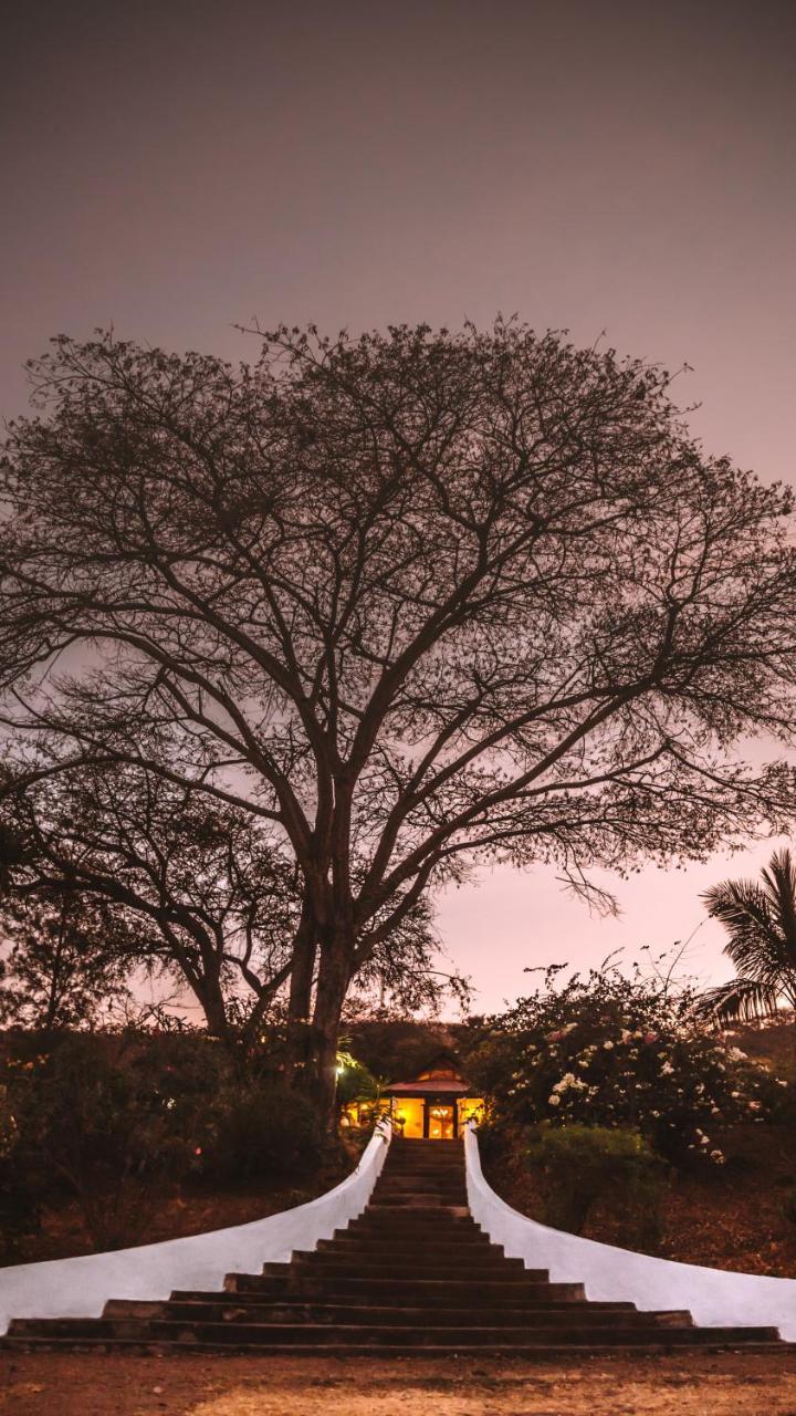 Utengule Coffee Lodge エクステリア 写真